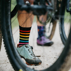 Rainbow Crew Socks