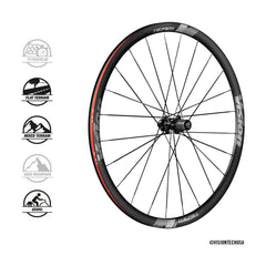 Team 30 Disc Wheelset