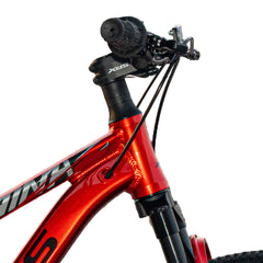 XDS Kids MTB | Chinese Style 24"